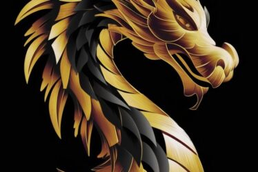 Naga